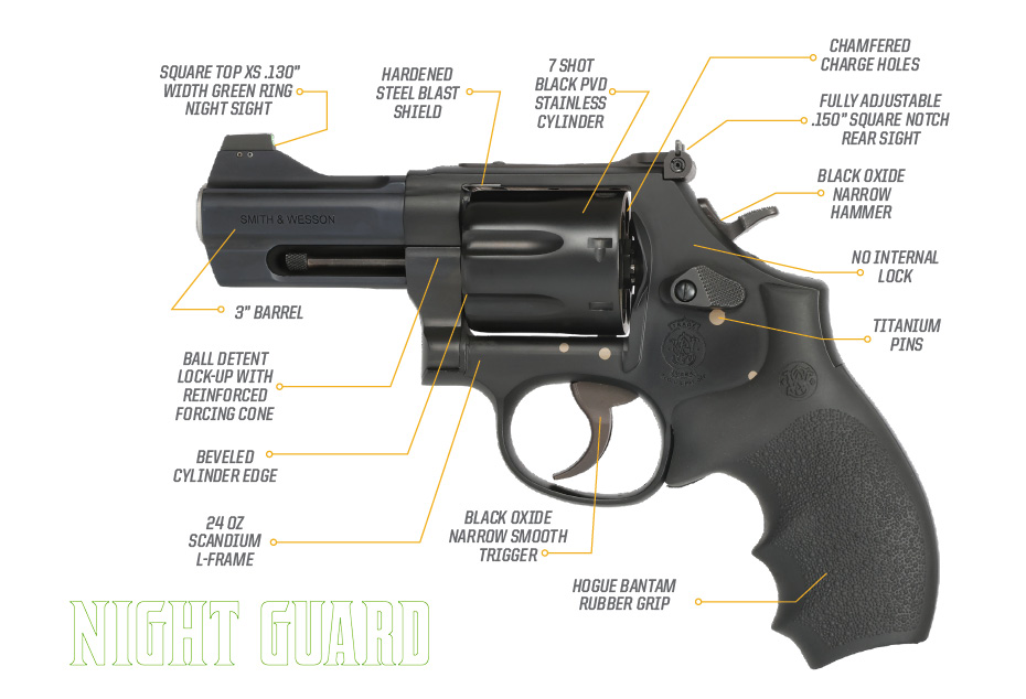 Lipsey's Exclusive Smith and Wesson 396 Nightguard 44 Special